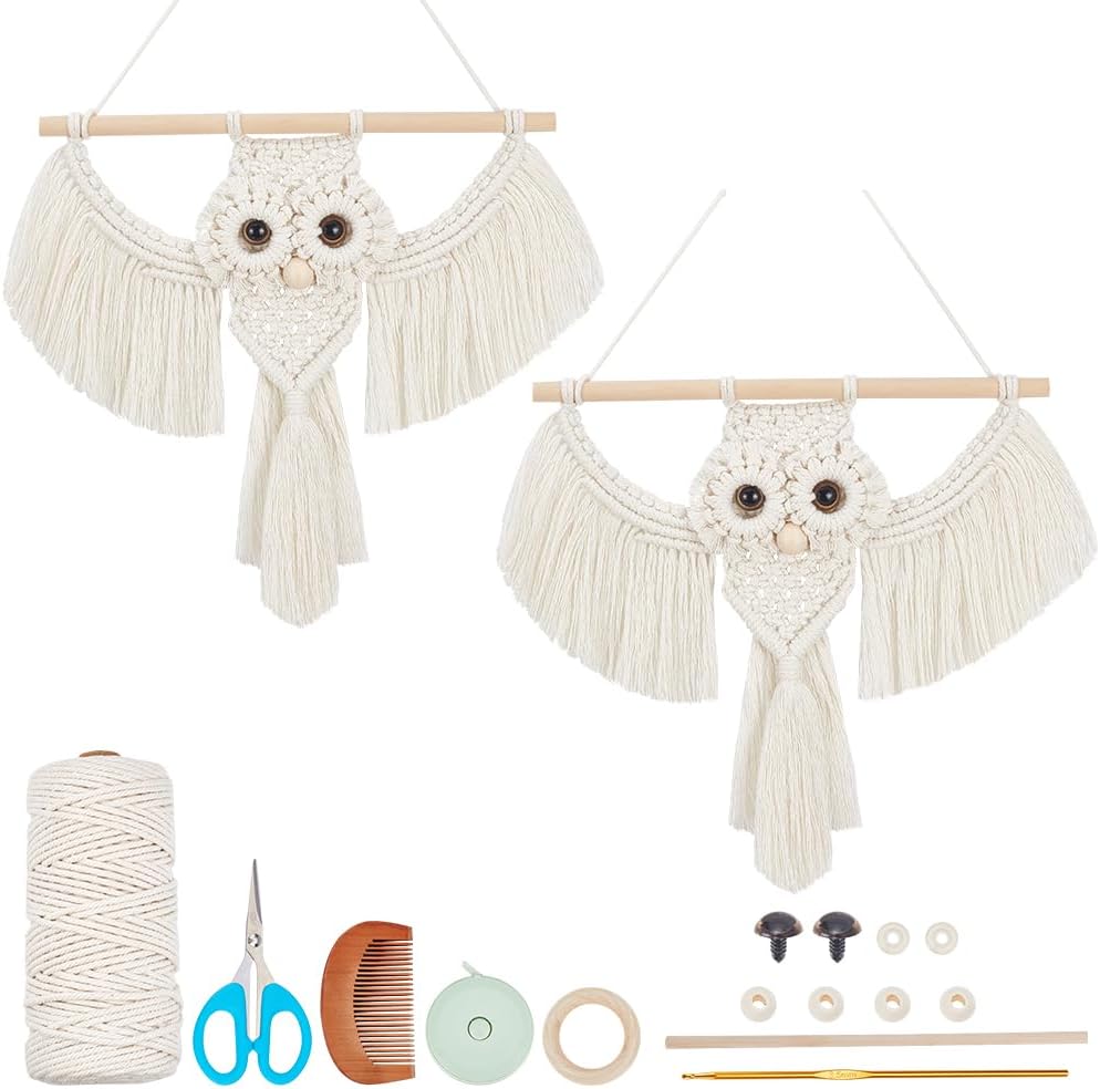 BEUNITONE Macrame Kits for Adults - 2 Set Beginner DIY Macrame Kit with Instructions, Cotton Rope Owl Decoration for Wall and Hallways