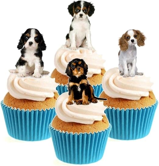 cavalier king charles cake