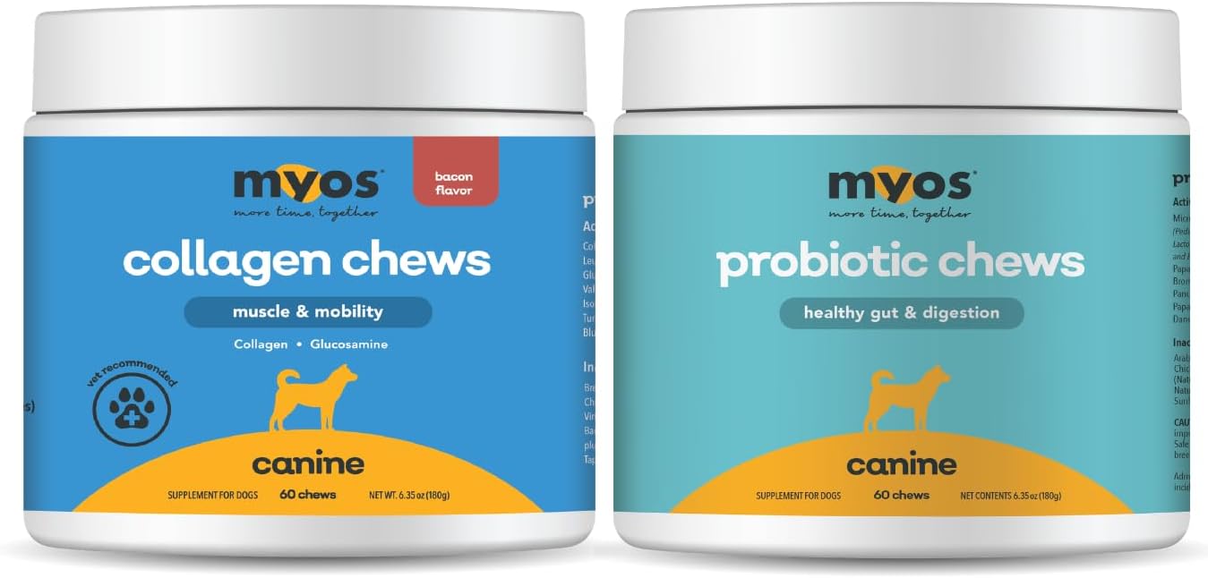 MYOS Probiotic & Muscle + Mobility Bundle for Dogs – Digestive Support & Gut Health with Collagen & Glucosamine Joint Supplement – Complete Daily Wellness Chews (60 Ct Each)