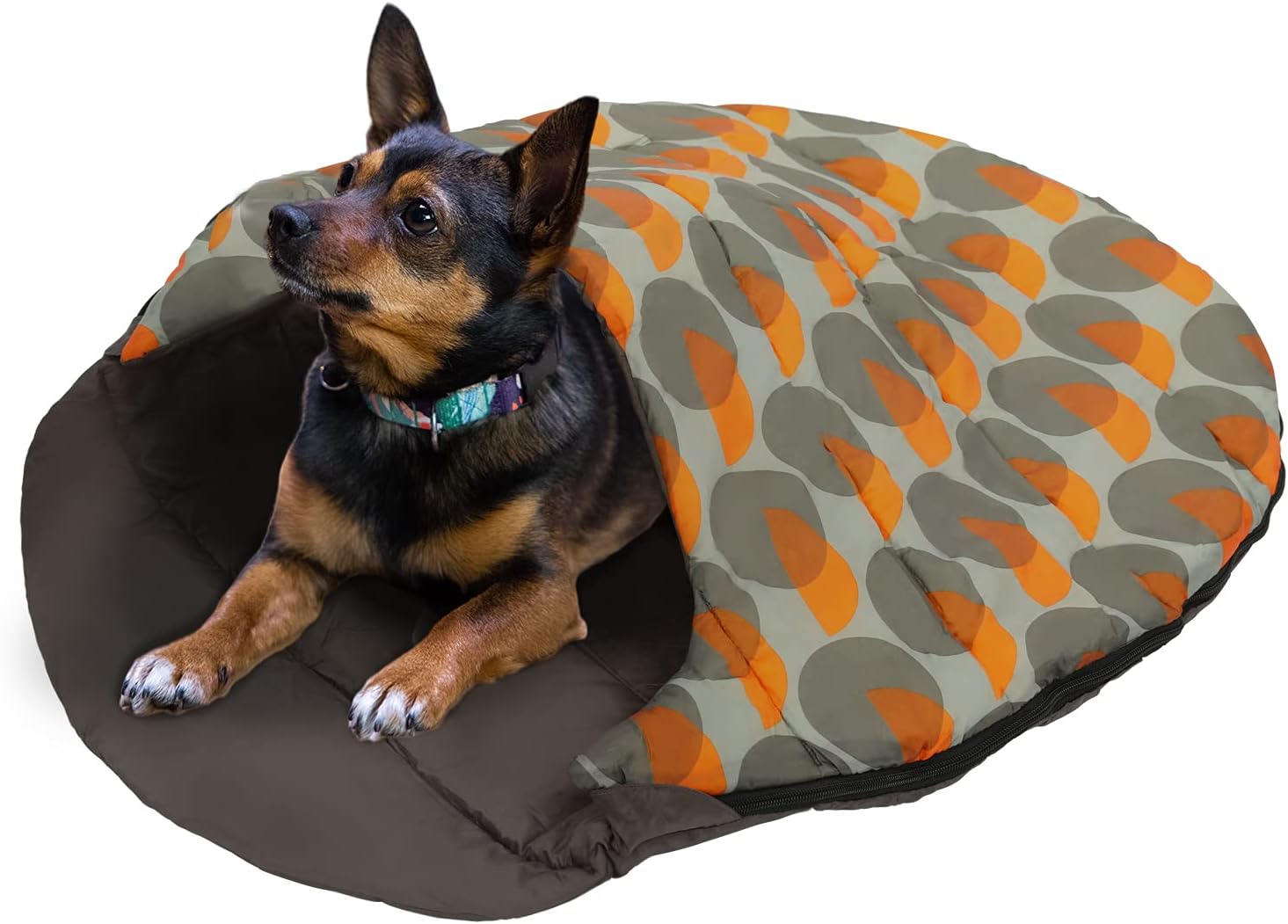 camping dog bed amazon