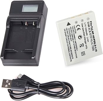 Amazon.com : Surpassed Battery Pack and LCD USB Travel Charger for