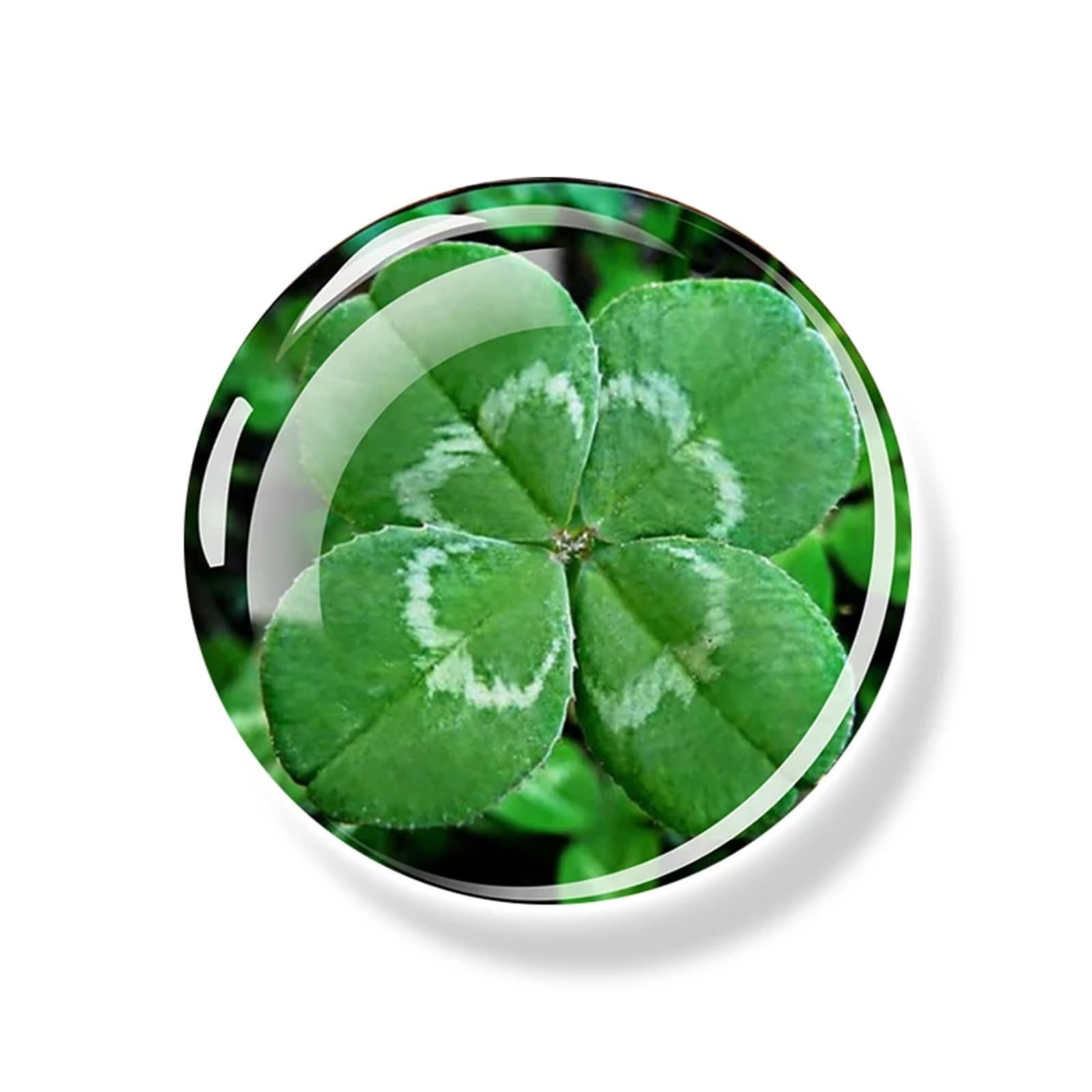Fridge Magnets 6pcs Clover Magnet Fridge Shamrock Stickers Four Leaf Lucky Glass Dome Refrigerator Magnets Home Decor(Color-01)