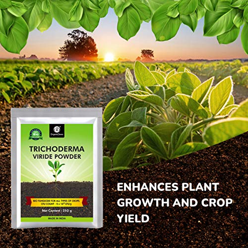 Image of OrganicDews Trichoderma Viride Powder 250 g (2 x 10⁸ CFU per Gram) Bio Fungicide For Plants Controls Root /Stem Rot