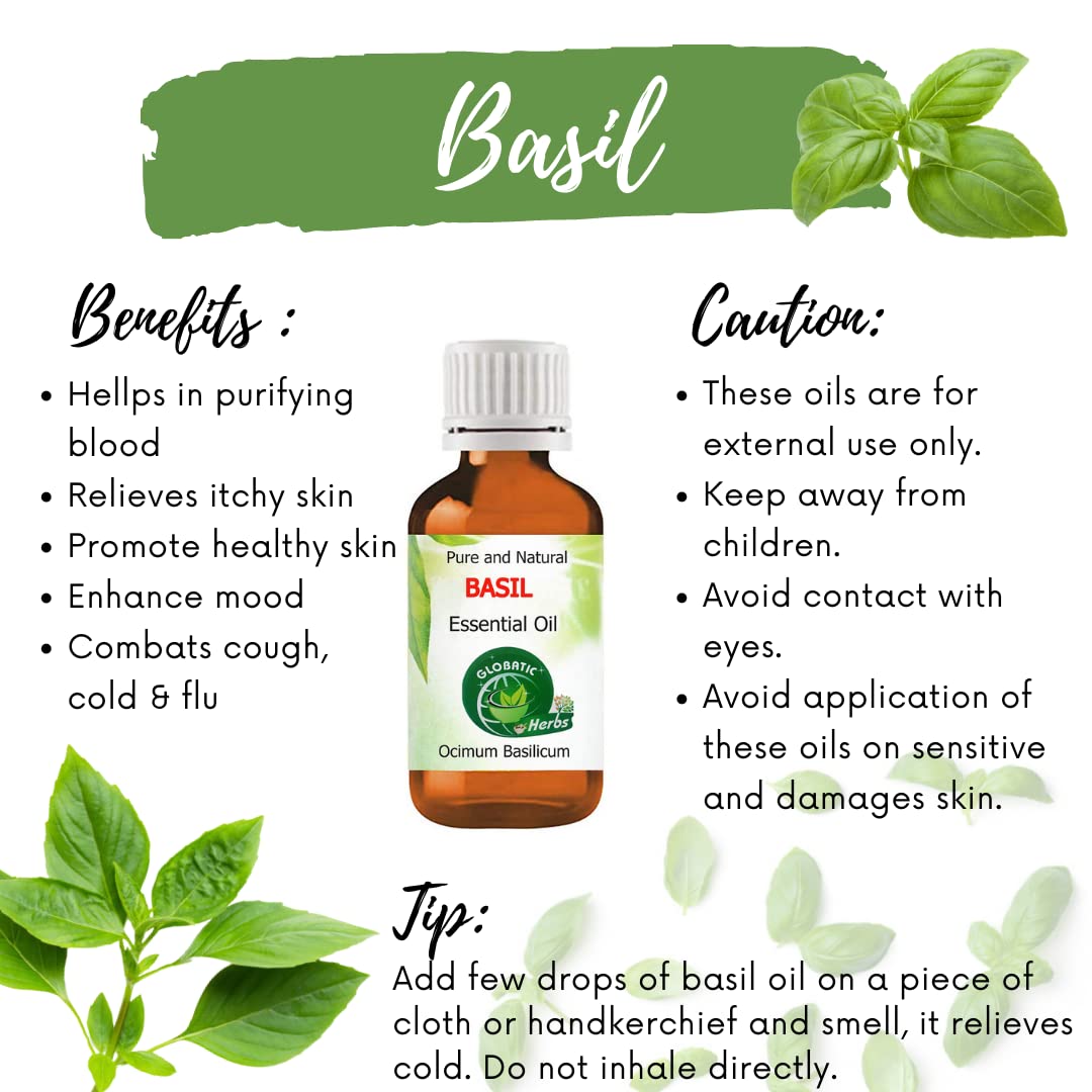 Globatic Herbs BASIL Essential Oil 15ml (Ocimum Basilicum) Organic, Aromatherapy & 100% Therapeutic Grade 4