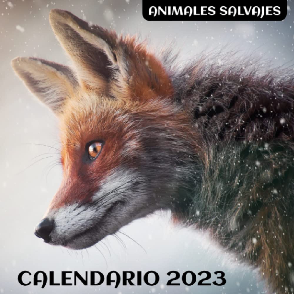 Vista Superior Del Calendario Lunar Con Ciervos | Foto Gratis