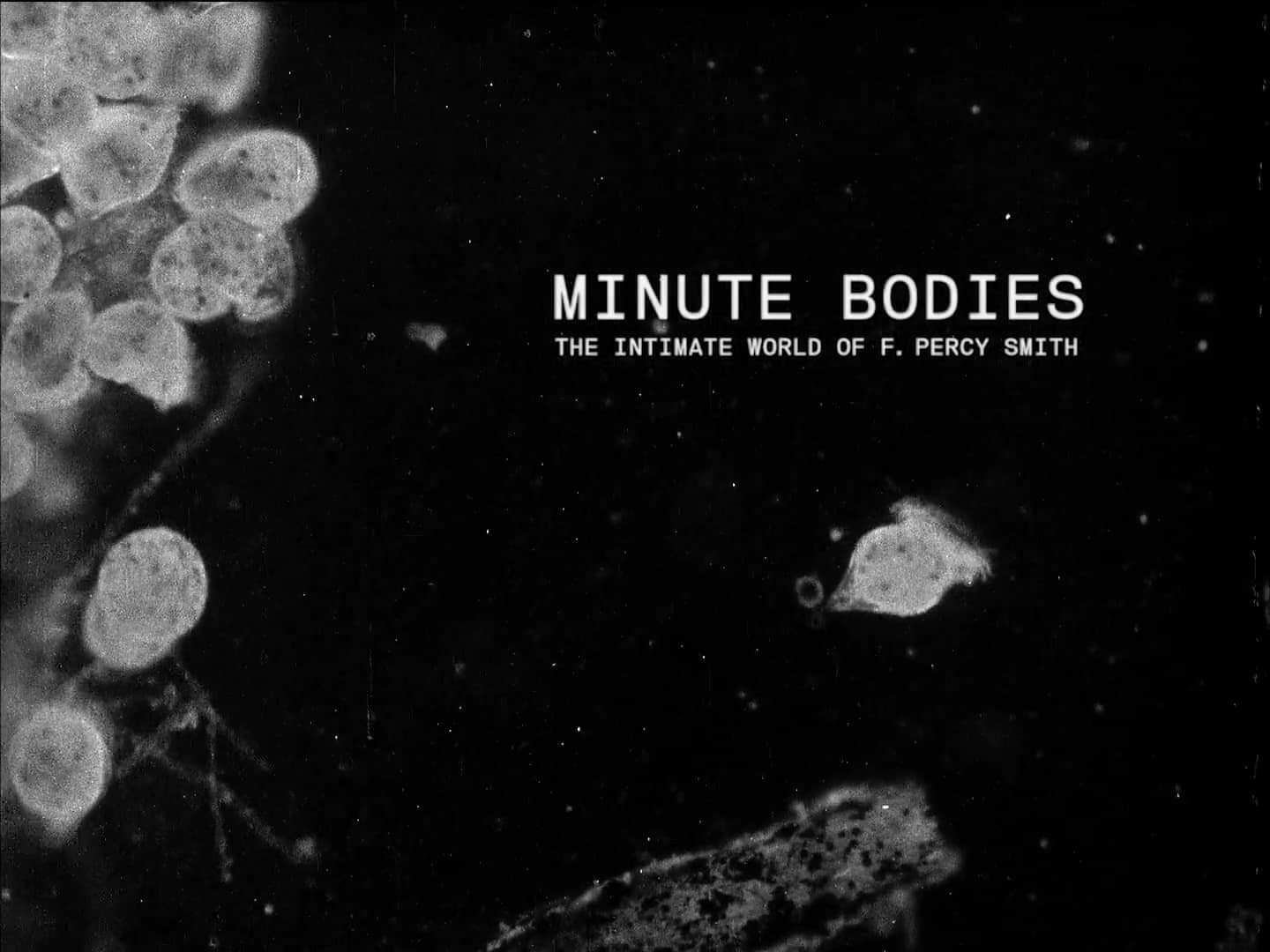 Minute Bodies: The Intimate World Of F. Percy Smith [VINYL]