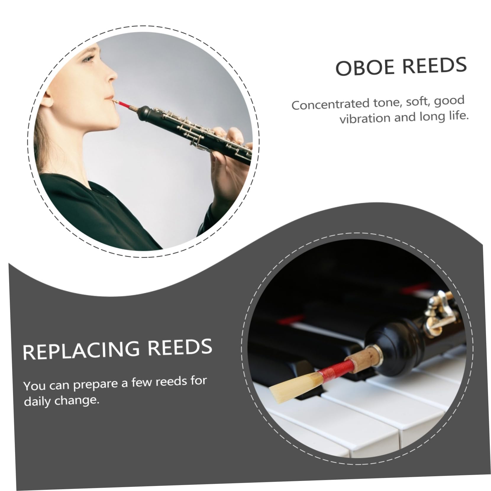 TOYANDONA 6pezzi Pz Ance Per Oboe Legno Accessori Artigianali Per Strumenti Musicali Design Compatto e Vibratione Ottimale Confezione Pratica Con Scatole Di Stoccaggio