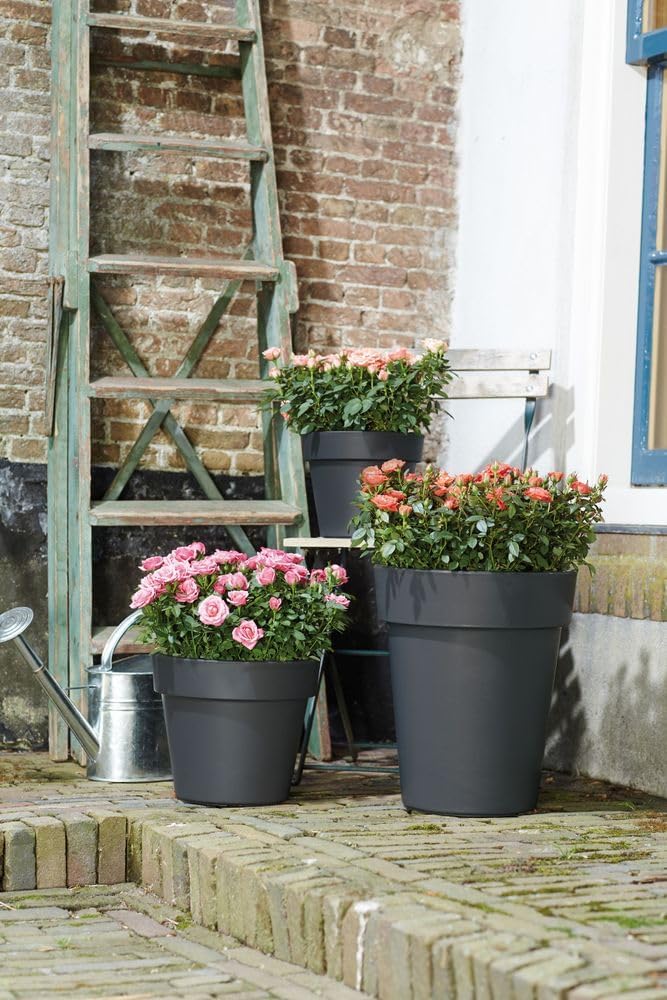 Elho 7612503043300 Flower Pot Green Basics top Planter 30cm in Active, Living Black