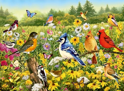 Ravensburger - Puzzle 500 pièces - Prairie aux Oiseaux