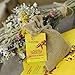 Produktbild Beebombs handgefertigte Wildblumen Habitat Seedballs #bringthebeesback
