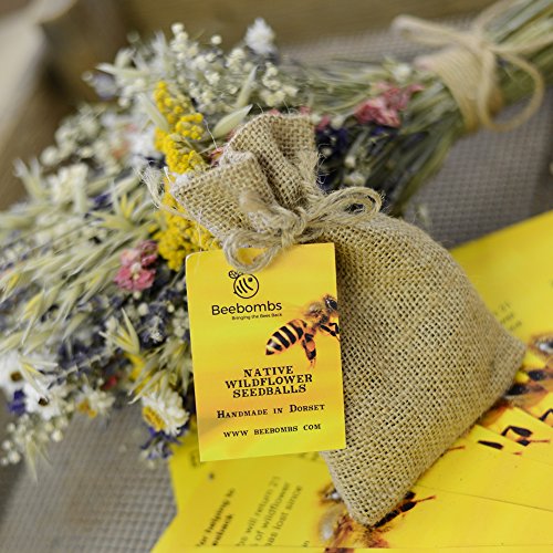 Beebombs Handmade Wildflower Habitat Seedballs #bringthebeesback (1)