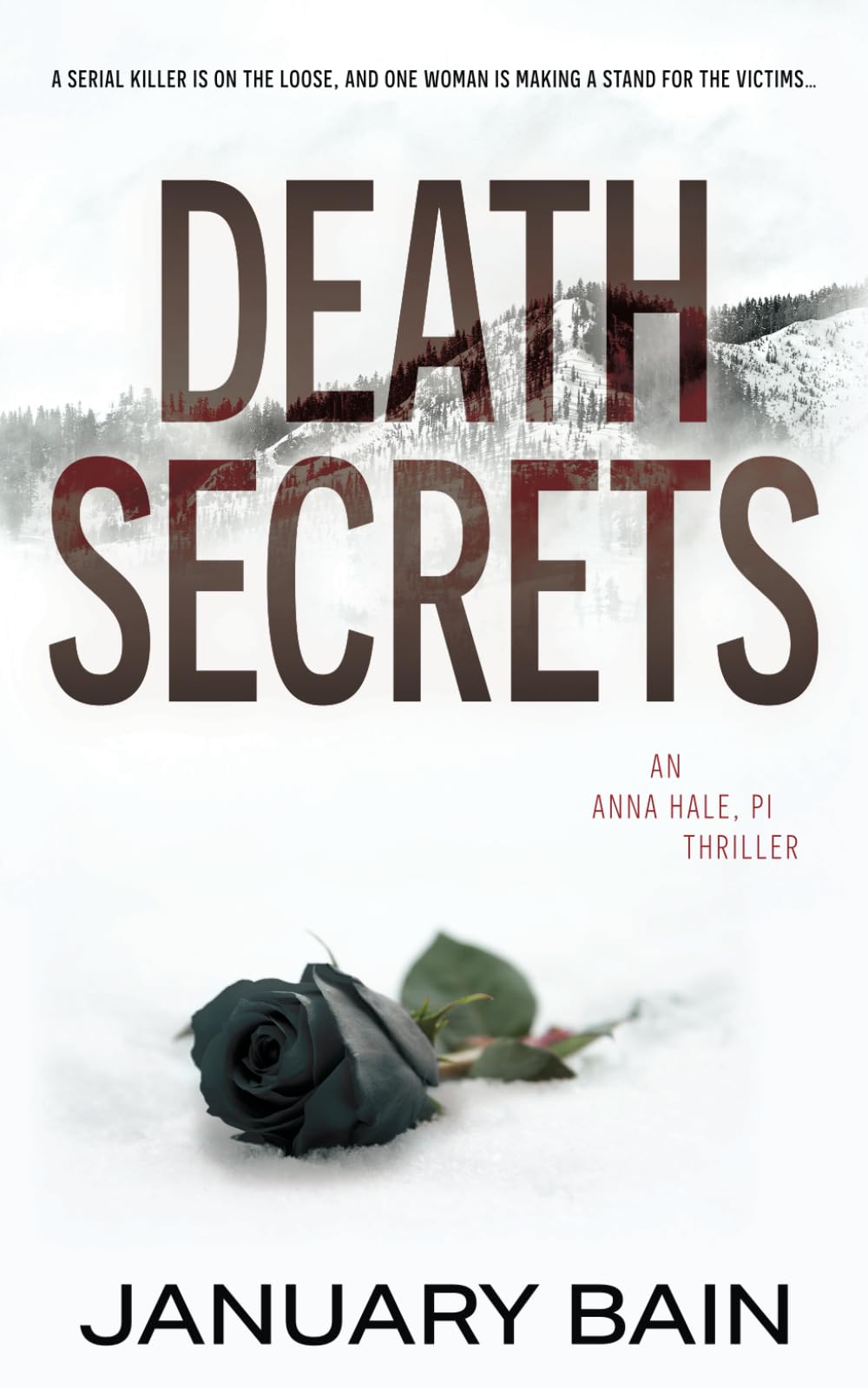 Buy Death Secrets: An Anna Hale, PI Thriller: 1 — BookShops.in