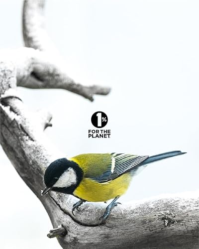 Miniatura 7 de Jackson's Sal celular #7 Kali sulph 6X (botella de 500 pellets) - Certificado vegano, sin lactosa Kali sulphuricum 6X