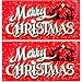 Bigtime Signs Merry Christmas Nativity Scene Car Magnet | Holy Family Holiday Decoration | 2 - Pack | 4" x 8" |