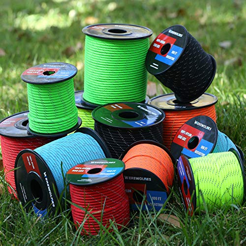 Werewolves Reflective 550 Paracord - 100% Nylon, Rope Roller, 7 Strand Utility Parachute Cord For Camping Tent, Outdoor Packaging (Reflective Lake Blue, 1.8Mm 200Feet) #TOP5