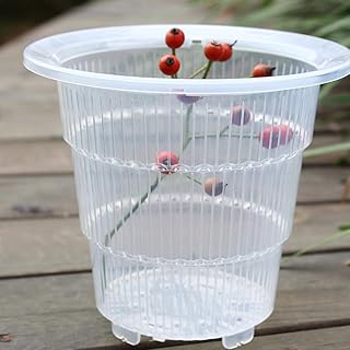 2 Pack Orchid Clear Flower Pot Plastic Slotted Clear Plastic Orchid Pots Breathable Slotted with Holes (7 Inch)