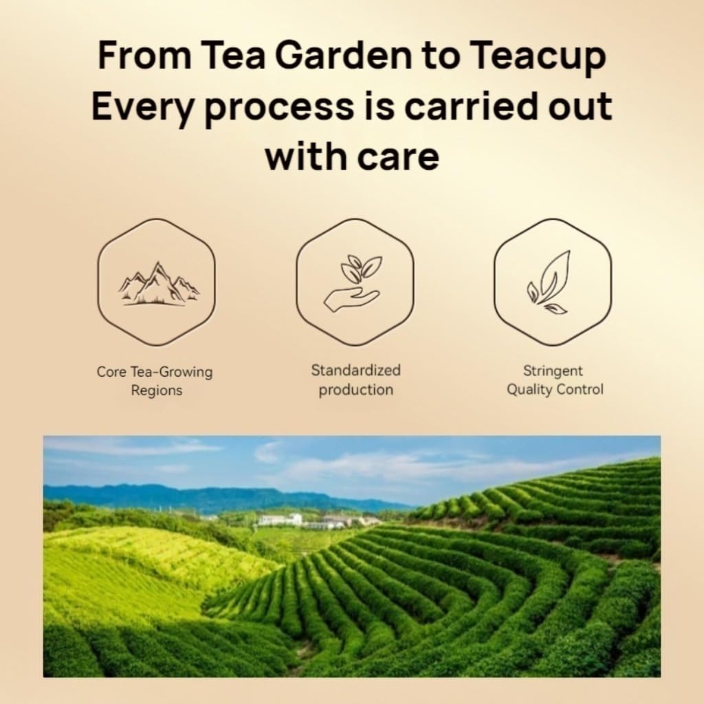 Tè Al Gelsomino Queshe | Tè Verde Pre-Qingming | Senza Additivi | Ricco Aroma Tè Cinese Puro in Foglie Sfuse 125g / 4,40oz