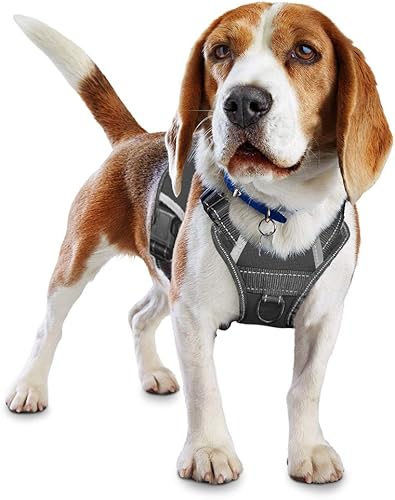 LMOBXEVL Arnés para perro de servicio, arnés sin tirones con asa ajustable reflectante para perro en chaleco de entrenamiento, fácil control para