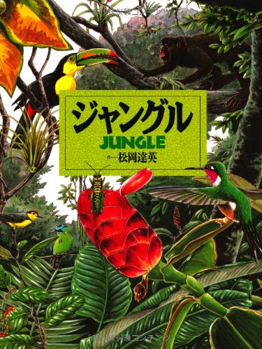 ジャングルポケット 写真集 永遠の雄叫び 永遠の雄叫び―ジャングルポケット写真集 | 乗峯 栄一 |本 | 通販 | Amazon