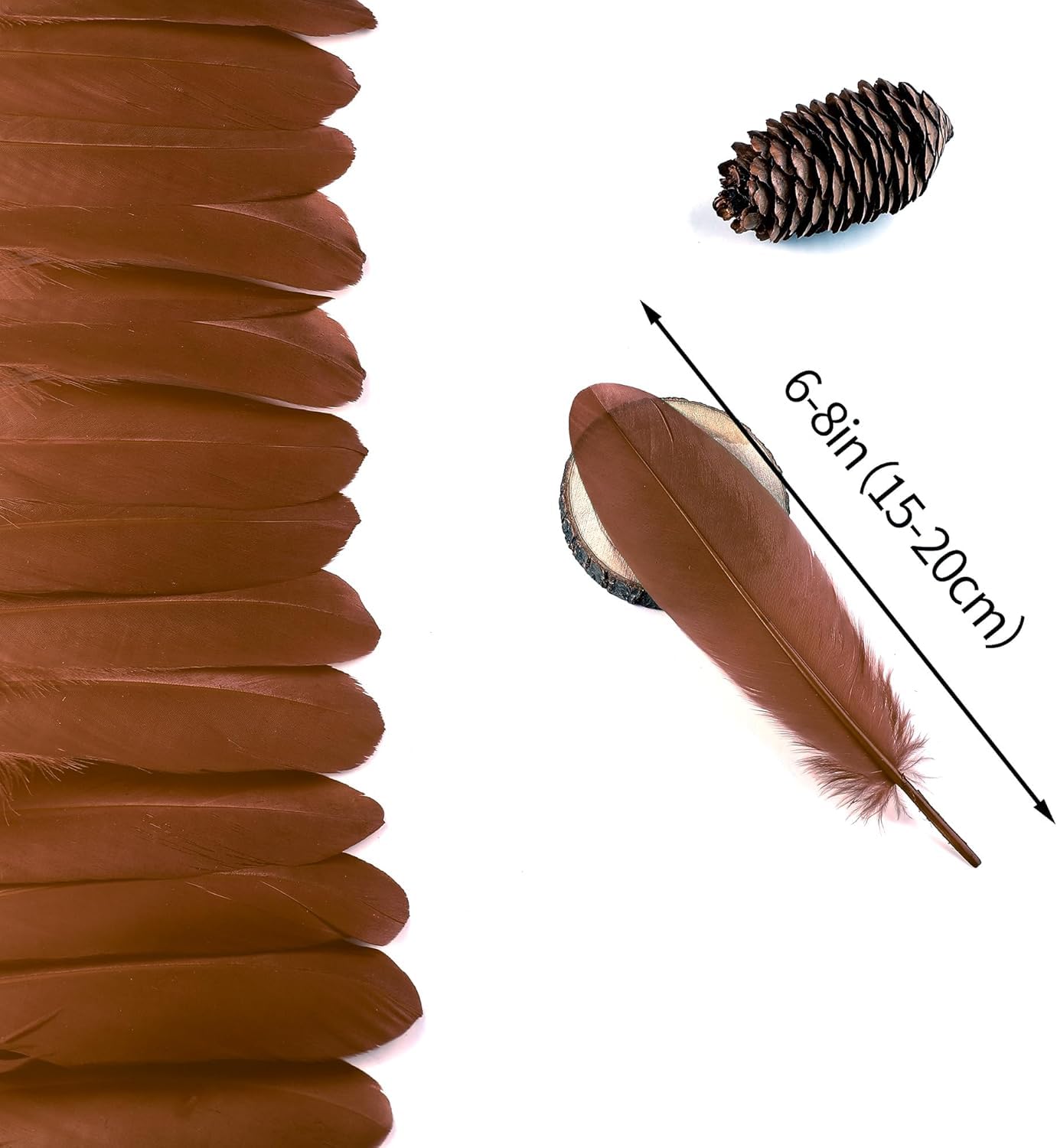 Amazon.com: Ballinger Brown Craft Feathers Bulk - 120Pcs 6-8inch