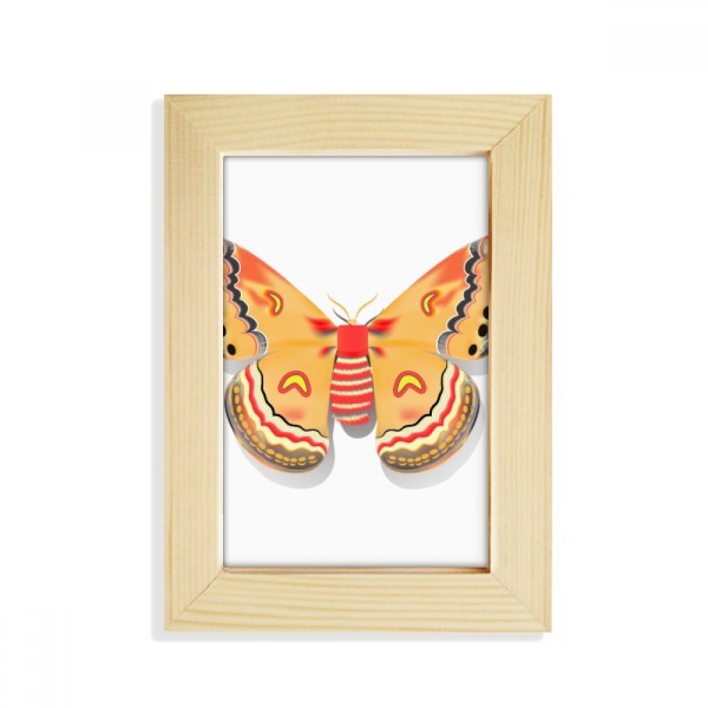 Marco de fotos de madera 5x7 de mariposa china naranja de mesa