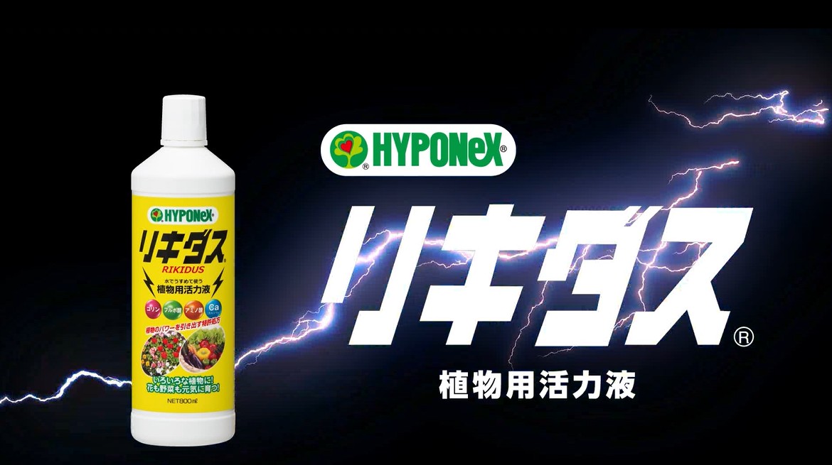 Amazon | ハイポネックス リキダスエコパック 720ml | 液肥・活力剤