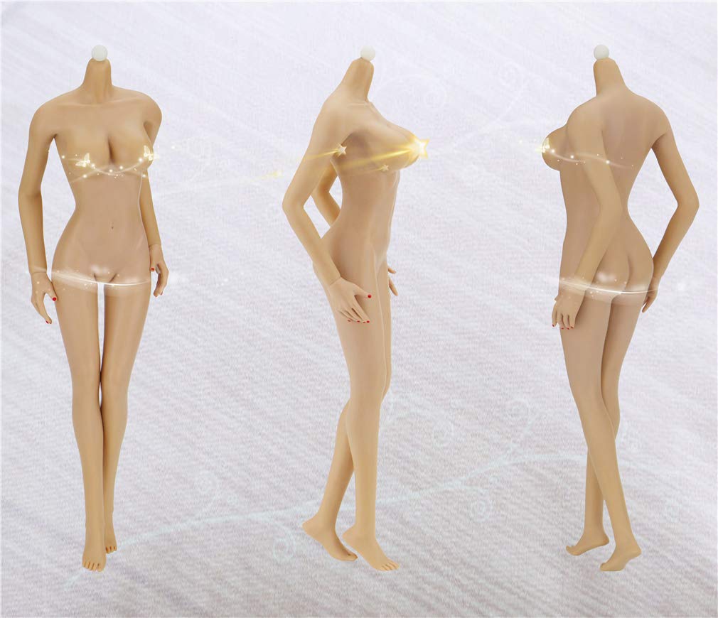 ヨガ姉さん】1/6 シームレス素体 サンタン肌 欧米人女性ヘッド付き