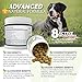 WowPaws Joint Support for Dogs - Made in USA - Supports Hip and Joint Health, Natural Arthritis Pain Relief