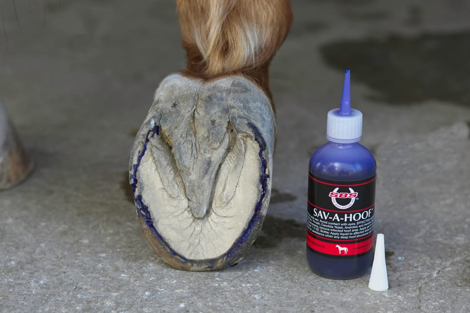SBS Equine | SAV-A-HOOF Gel II | Hoof Treatment | Long-Lasting Time Release Formula | No Messy Waste or Run-Off (4 Fluid Oz) - image 4