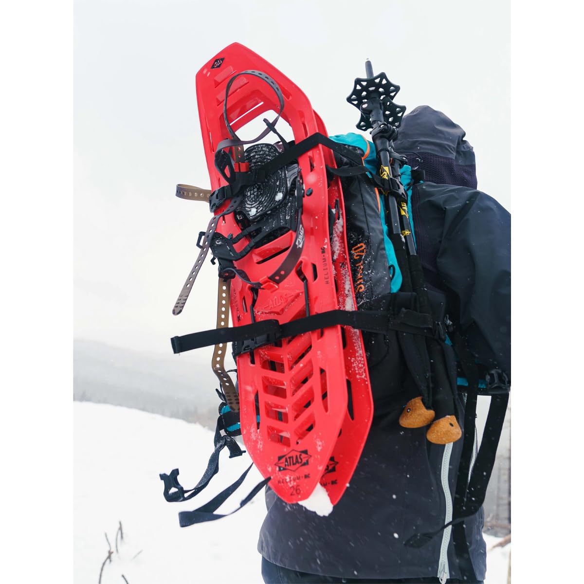 Amazon | Atlas Helium-BC スノーシューズ | Atlas | スノー 