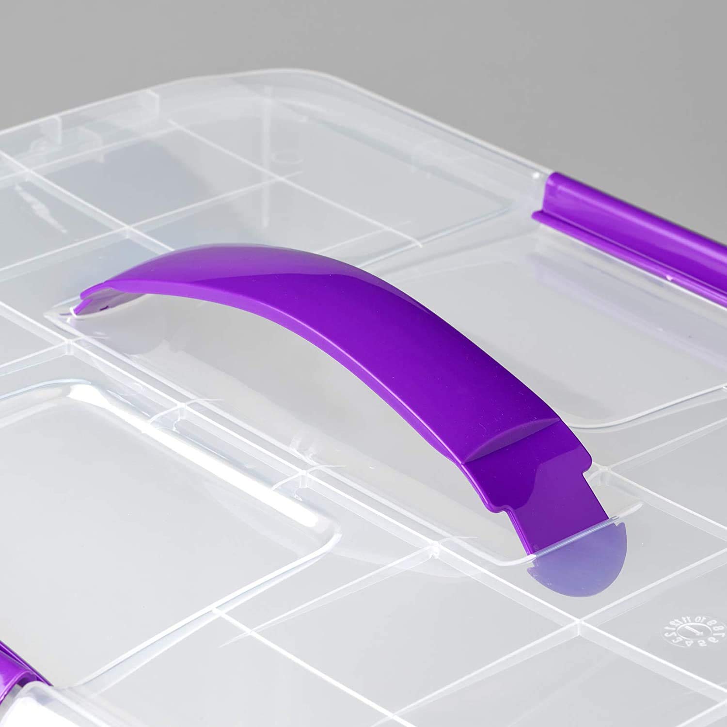 COM-FORT HOUSE | Caja de Almacenaje | Caja de Plástico Transparente | Cierre de Clip Robusto | Capacidad de 30 litros | Medidas 425 x 325 x 280 mm | Lote de 2 Unidades