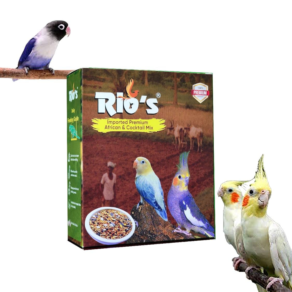 Rio's Imported Premium Bird Food, African Conure & Cocktail Mix, 1000g, Natural Ingredients with 13 Seeds & Grains-image-7