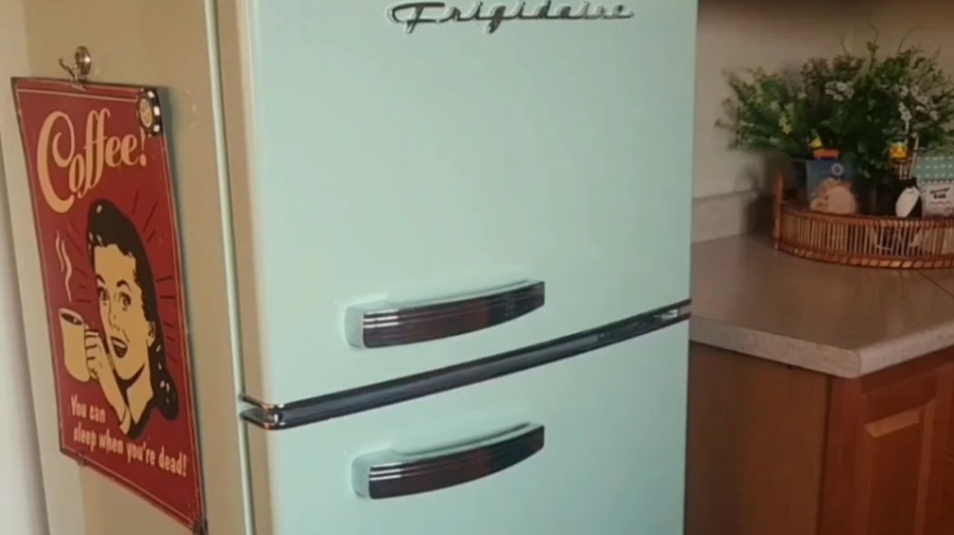 My Honest Review of the Mint Frigidaire 2 Door Refrigerator