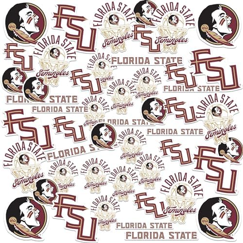 Amazon.com: Florida State University Basketball Vinyl Sticker Pack – 50 ...