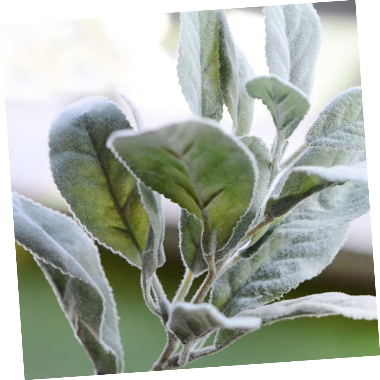 Amosfun 10pezzi Foglie Artificiali Realistiche Verde Decorativo Per Bouquet e Decorazioni Per Eventi Adornamenti Per Matrimonio e Feste Per Casa e Giardino