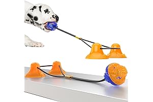 Double Suction Cup Dog Toy: Enhance Your Dog's Dental Health and Entertainment