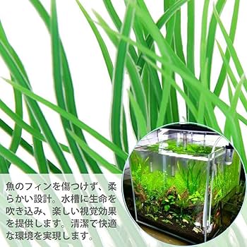 Amazon.co.jp: CHENLONB アクアリウム 人工水草 16cm-中型水草