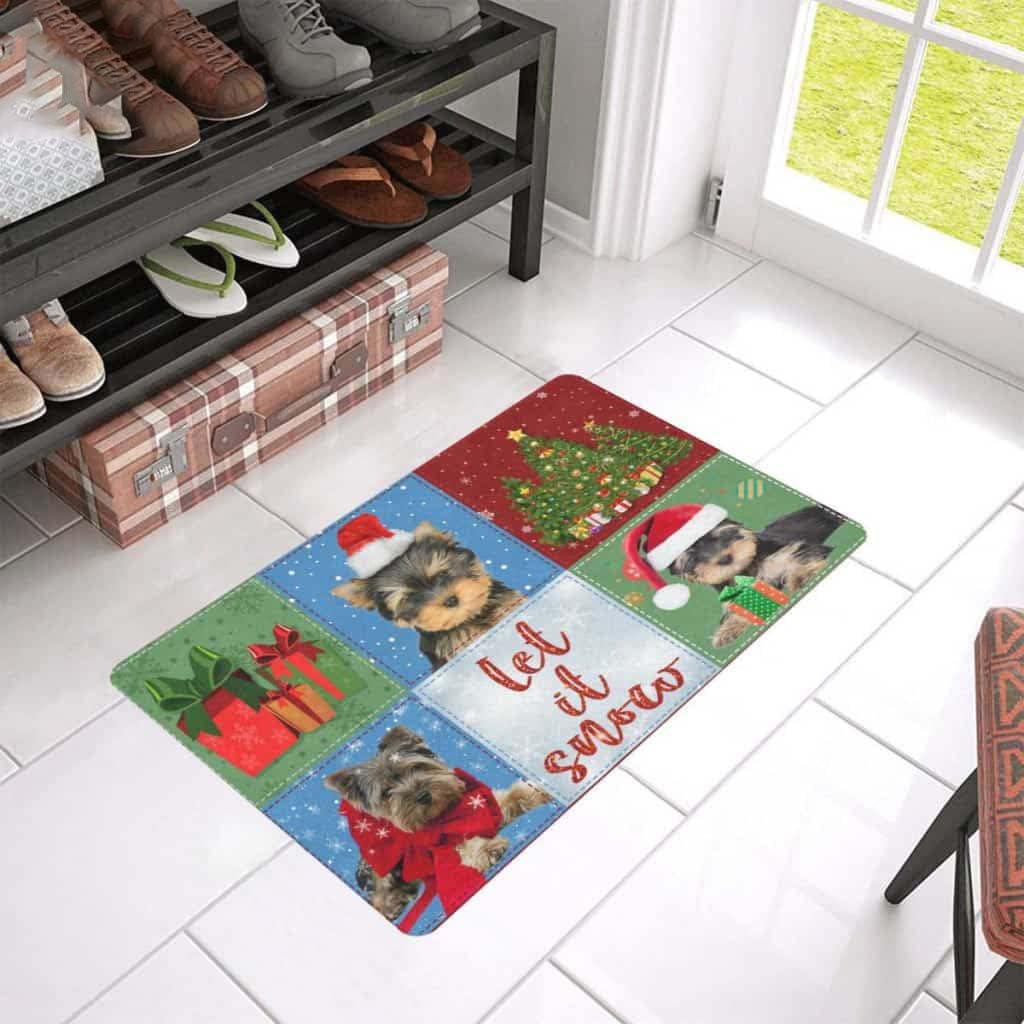 Tapis de bienvenue extérieur chat pour une entrée propre même en hiver