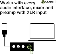 Vista 10 de LEWITT LCT440PURE Large Diaphragm Condenser Mic