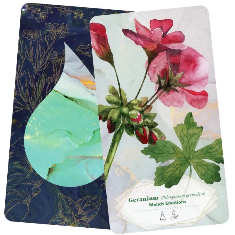 Amazon | Kancharo オラクルカード 52 枚 タロット占い