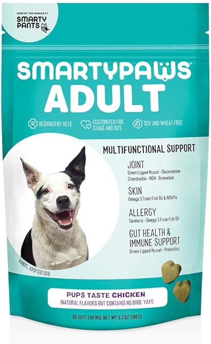 Smarty pants dog training Clearance