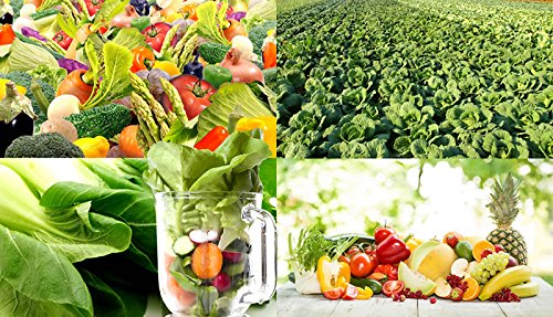 Amazon | 濃縮酵素 + 青汁野菜サプリ 360粒 約6か月分 | サプリメント