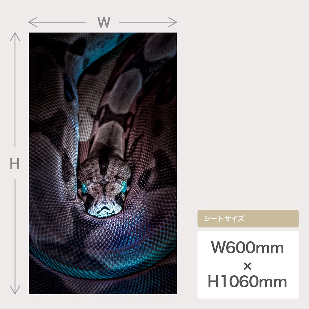 Amazon｜蛇 ヘビ ウォールステッカー 日本製 壁紙 爬虫類 アナコンダ