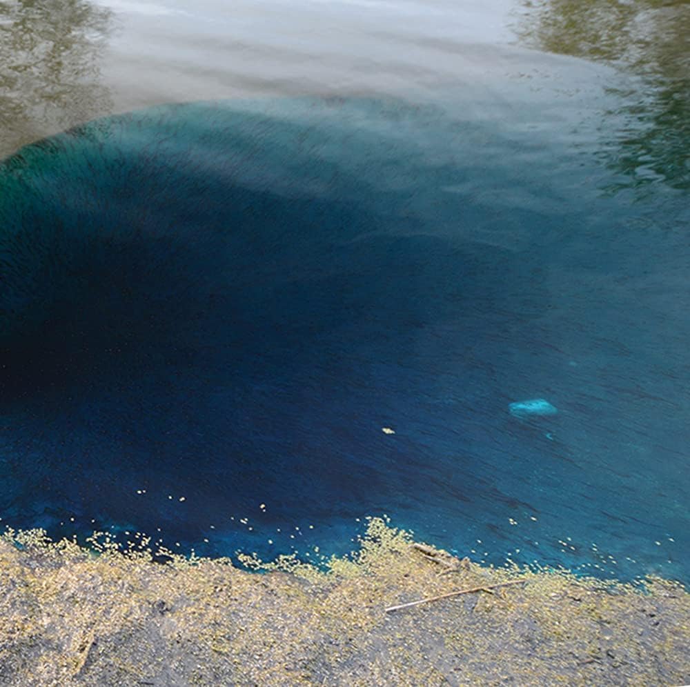 Healthy Ponds Pond Water Dye, Blue, 5 x 5 oz Water Soluble Bags, Treats up to 2.5 Million Gallons