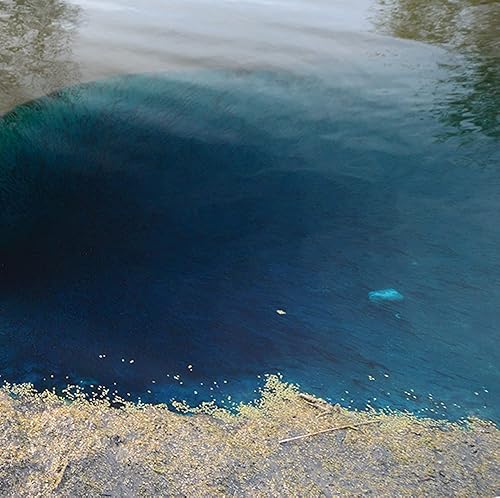 Vista 5 de Healthy Ponds Solución de agua de estanque 3 en 1 totalmente natural