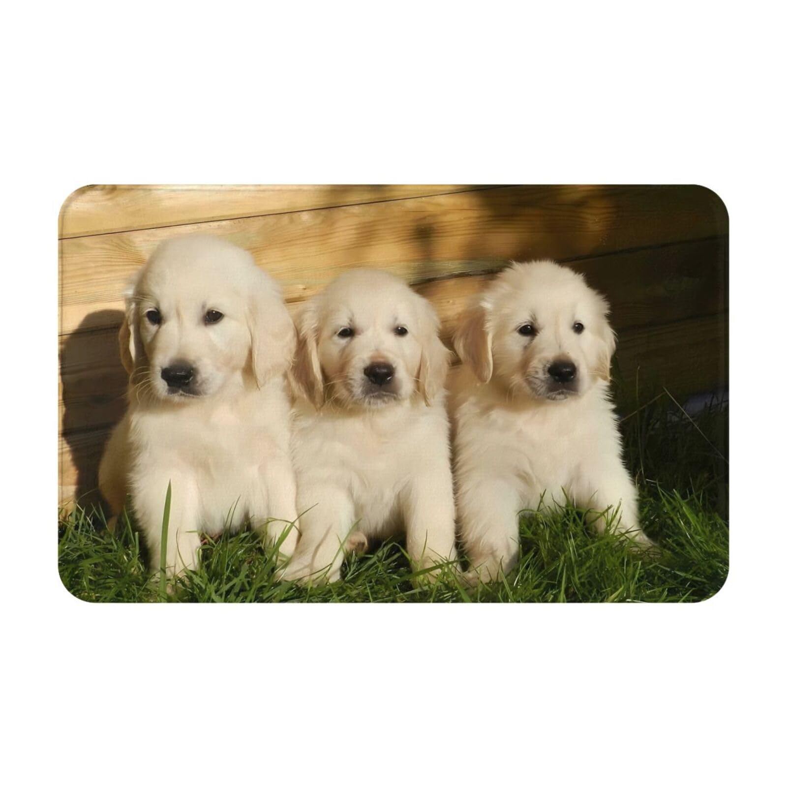 Amazon | カーペット ラグマット 3匹のゴールデンレトリバーの子犬 防