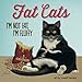 Fat Cats: I'm Not Fat, I'm Fluffy.