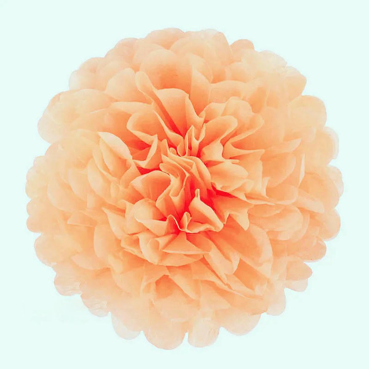 AYHTUD 5pcs 4 6 8 10 12 Inch Tissue Paper Pom Pom Poms Wedding Party Paper Pompom Flower for Wedding Decoration Pompoms Birthday Baby-peach orange-12 inch 30cm