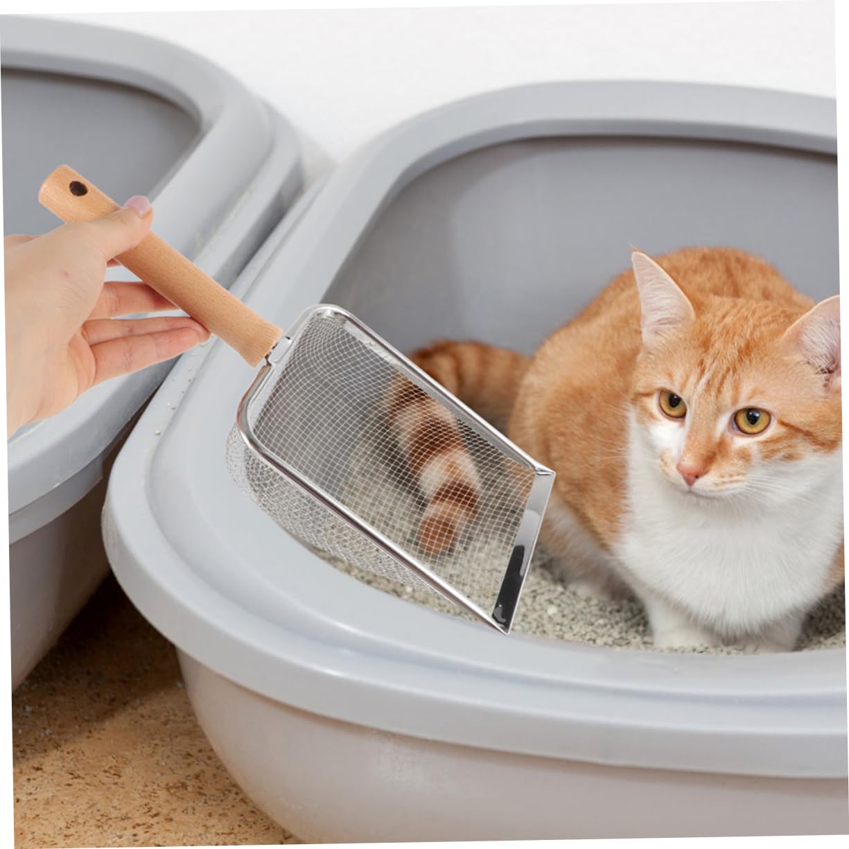 Pala para Arena de Gato, Diseño de Acero Inoxidable for una Limpieza eficiente los excrementos Gato for el Mantenimiento la Caja Arena. Características filtradas