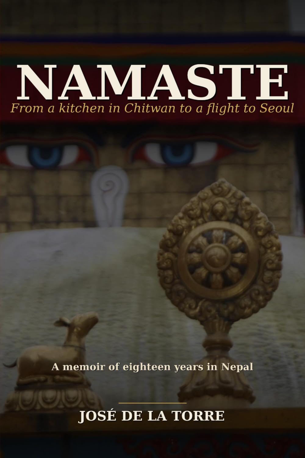 NAMASTE: From a kitchen in Chitwan to a flight to Seoul